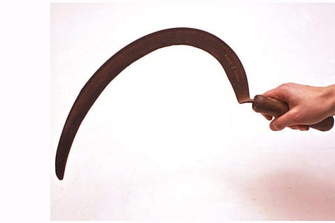 Representative Image