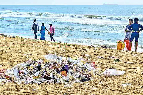 Study made between March and September reveals manifold increase in faecal coliform levels