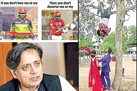 (Clockwise) Sehwag's meme; Wedding photographer's stunt; Shashi Tharoor