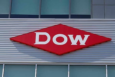 DowDuPont ‘defers’ field trials to seek sale of GM corn seed in India