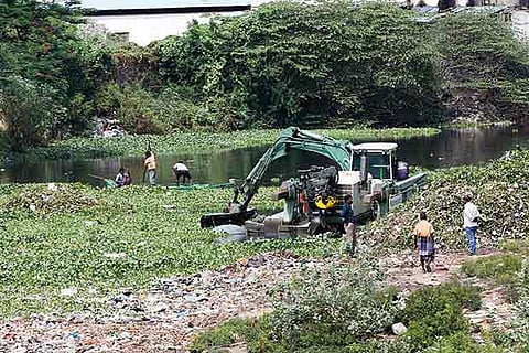 The amphibian vehicle removing water hyacinth from the Adyar river, near Saidapet