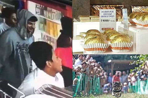 Trending in TN: Thief sees CCTV camera, returns wallet, Surat shop sells ‘gold' sweets for Rs 9,000 per kg and Emma, the ‘Usain Bolt’ of Berlin’s pugs