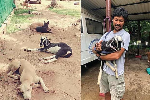 Spot the odd one out (L); Prasanna with Eidi (R)