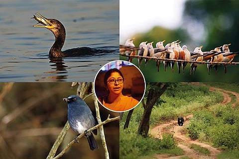 Some of the photographs by Pallavi Sarkar