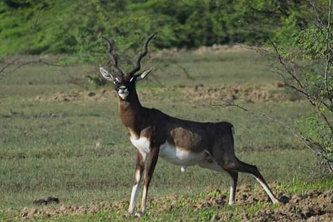 Plan your weekend: Kodiakarai is every nature lovers’ paradise