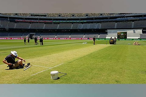 Perth pitch rated average by referee