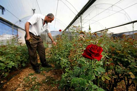 IBM sharpens rural focus, spots a Rs 5,000 crore opportunity in agritech