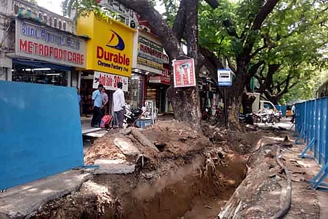 Residents and activists fear that the area being dug up might affect the longevity of trees