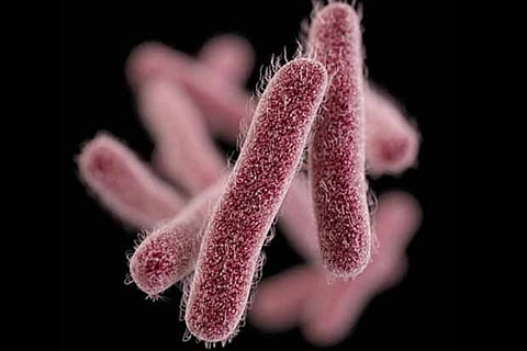 Representative Image from: Centers for Disease Control and Prevention Public Health