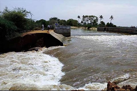 Water flows through the breach in the Grand Anaicut canal on Thursday