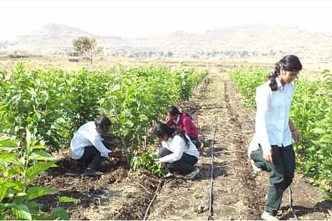 Representative Image