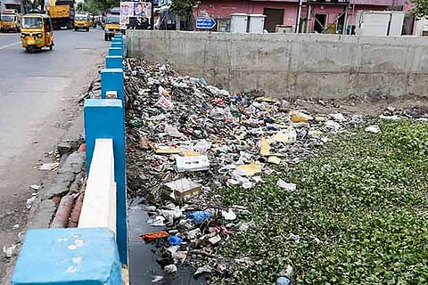 The Captain Cotton Canal choked with a carpet of water hyacinth on the surface
