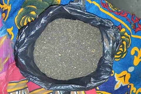 The ganja seized from the gang