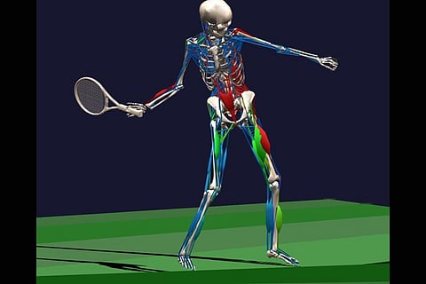 The muscular and skeletal system of a tennis player as seen in this computer generated illustration