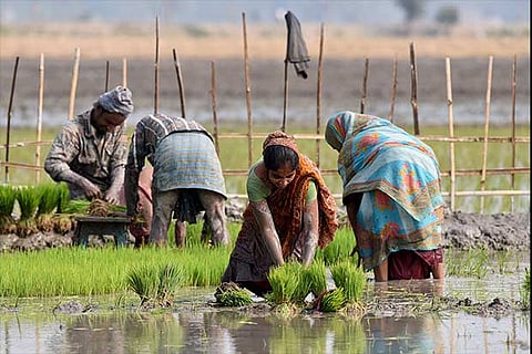 Erode firm offers smart solutions for drip irrigation