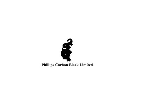 PCBL to set up greenfield carbon black plant in Tamil Nadu for Rs 600 crore