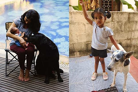 Ishani with Sombra and her child; (R) Dia playing with a rescued dog
