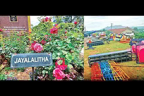 A flower named after former CM at the Rose Garden; (right) venue of the ?Spice show? in Gudalur