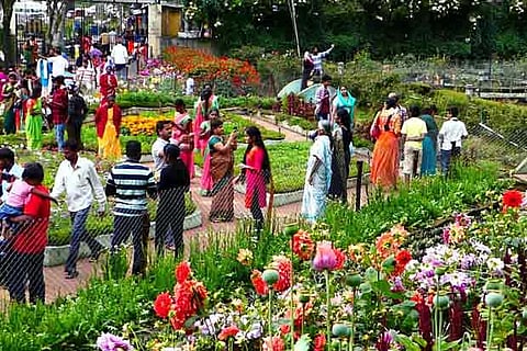 Tourists at the Bryant Park in Kodaikanal, ahead of the upcoming flower show.(Photo: Hari)