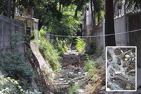 The Nandanam canal is linked to the Adyar River through the Mambalam canal; Filled with trash