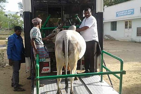 An Animal Medical Mobile Ambulance carries a cow to a veterinary hospital in the state