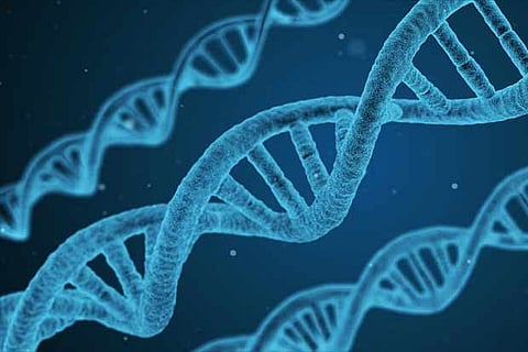 Your genes may not help you live long