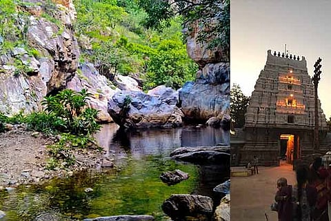 Plan your weekend: Water meets forest in Nagalapuram