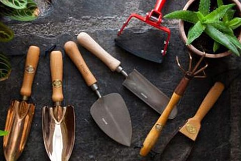 How to maintain and take care of your garden tools