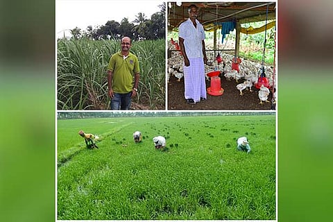 Vijay, Farmer-entrepreneurPeople; People from the city also get a chance to invest in poultry farming