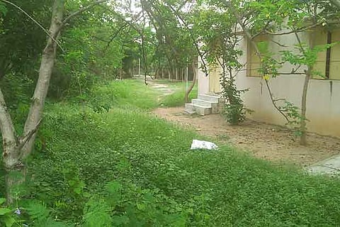 The weed filled compound of the panchayat union elementary school at VGR Nagar in Katpadi block