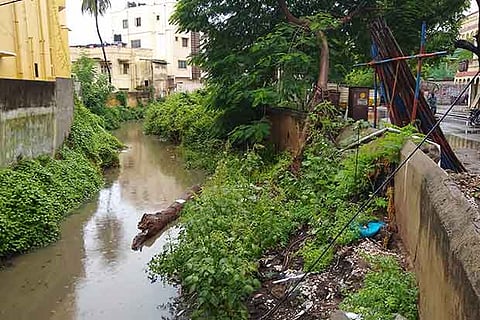 Excess growth of aquatic weed at Trust Puram Canal