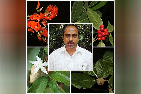 D Narasimhan, expert in plant taxonomy