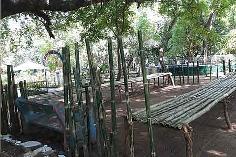 The bamboo beds that have been spread at Amirthi, near Vellore