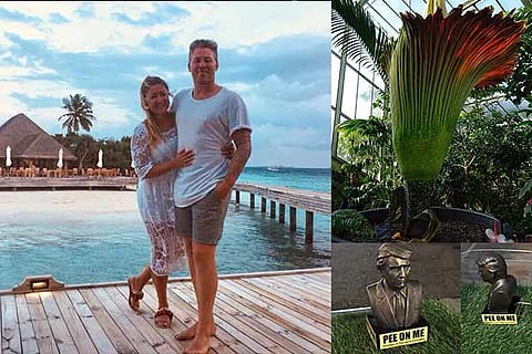 Trending in TN: Tipsy couple buy out hotel , Trump statues with Pee on Me signboard and London takes pride in real stinker of a flower