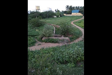 The lake in Tiruvallur