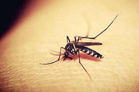 Representative Image