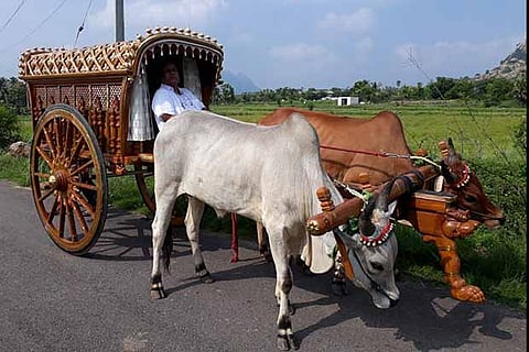 Margabandhu riding his bullock cart in his hometown Onnupuram