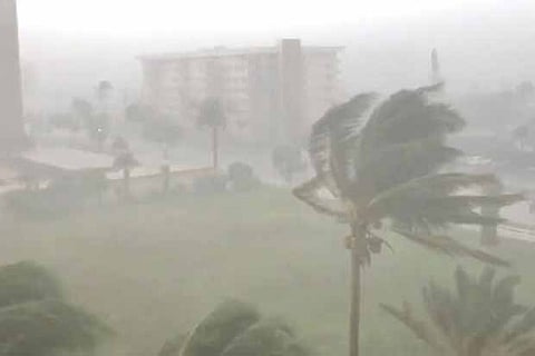 Trees sway as Storm Gordon descends on Fort Lauderdale, Florida, US