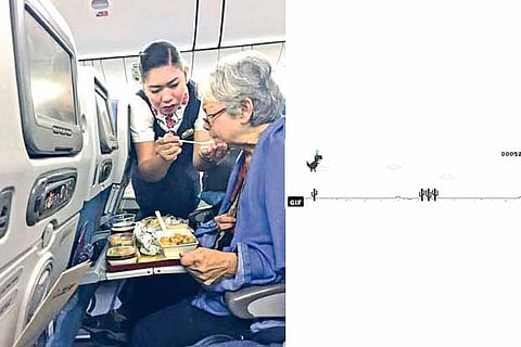 Trending in TN: Netizens come together to find anonymous flight attendant and Google Chrome’s dinosaur gets a birthday hat and cake
