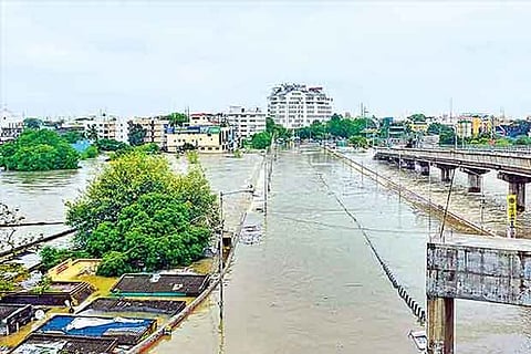 Remove encroachments from city waterbodies in 8 weeks, directs Madras HC