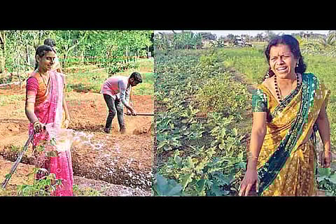 (L) M Shanthilakshmi has been practising organic farming , (R) Anuradha Balaji at her farm