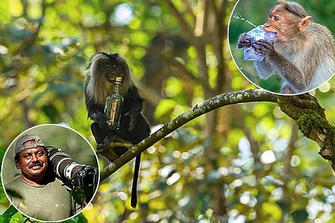 Photographs of animals holding bottle and plastic cover; (Inset) Prakash Ramakrishnan