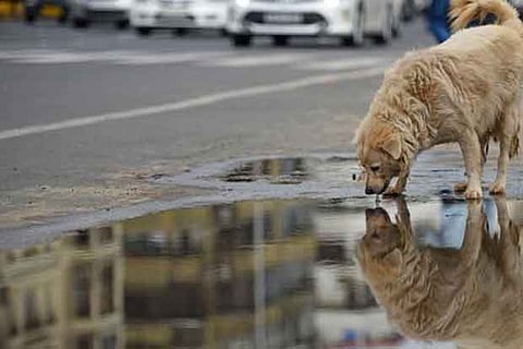 Life’s lessons: Don’t fight your own reflections