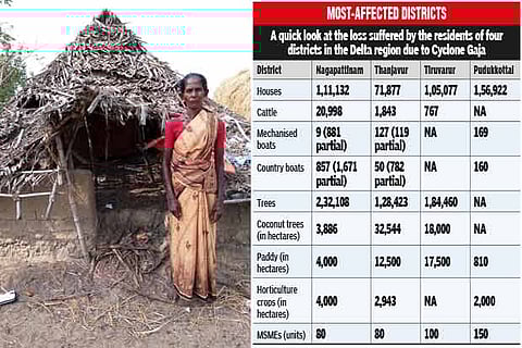 A woman stands in front of her hut, which was damaged by Cyclone Gaja, at Muthupettai in Tiruvarur district
