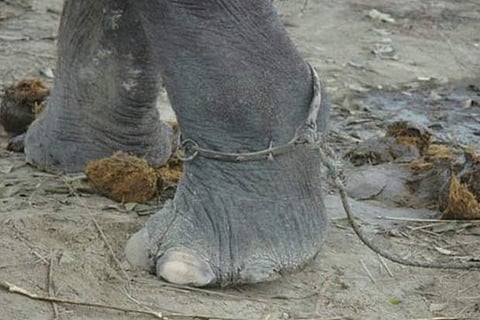 Life’s lessons: Never be bogged down by failure