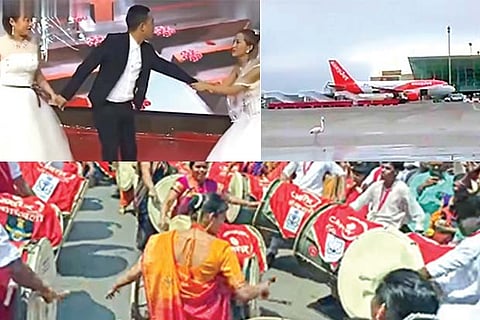 Trending in TN: Woman crashes ex's wedding, flamingo holds up a plane, Mumbaikars play desi version of GoT theme