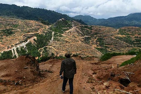 One million species risk extinction due to humans: UN report