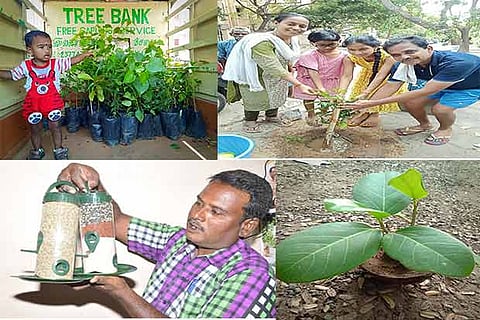 Seedlings at the tree bank; Mullaivanam, Reforester; a family watering a sapling planted by the road