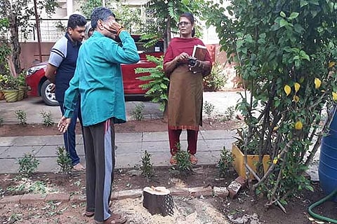 A team of officials examines the chopped sandalwood tree at a house in Sai Baba Colony in Coimbatore
