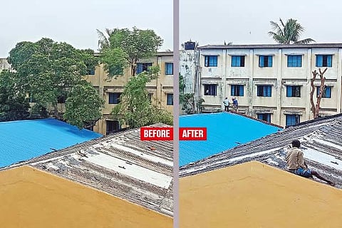 Trust axes trees violating HC order, public complain of air, dust pollution